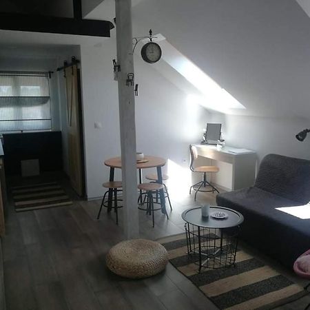 Ferienwohnung Studio Apartman Hana Drežnik Grad Exterior foto