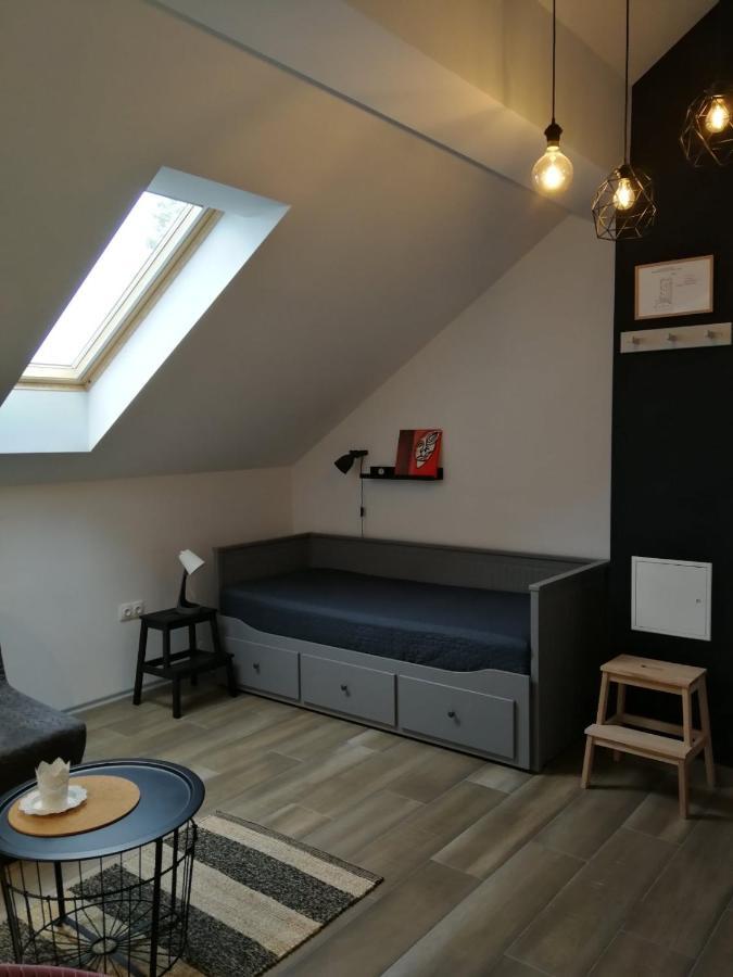 Ferienwohnung Studio Apartman Hana Drežnik Grad Exterior foto