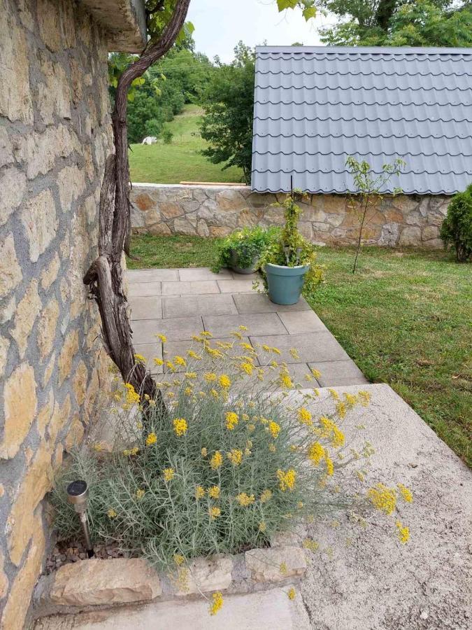 Ferienwohnung Studio Apartman Hana Drežnik Grad Exterior foto